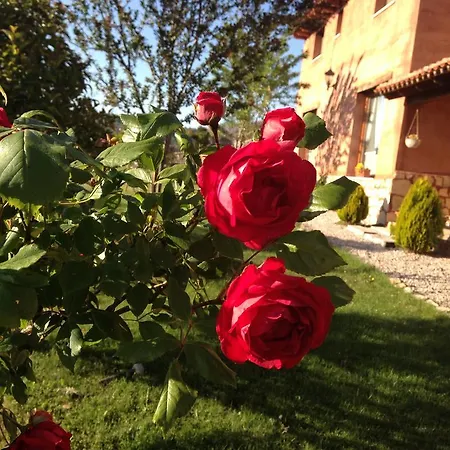 Hotel El Balcon De